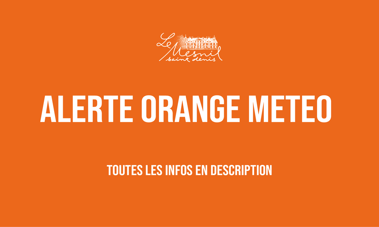 Chalet Météo Trenkle Orange TU 894 - Horloge Météo Neuve